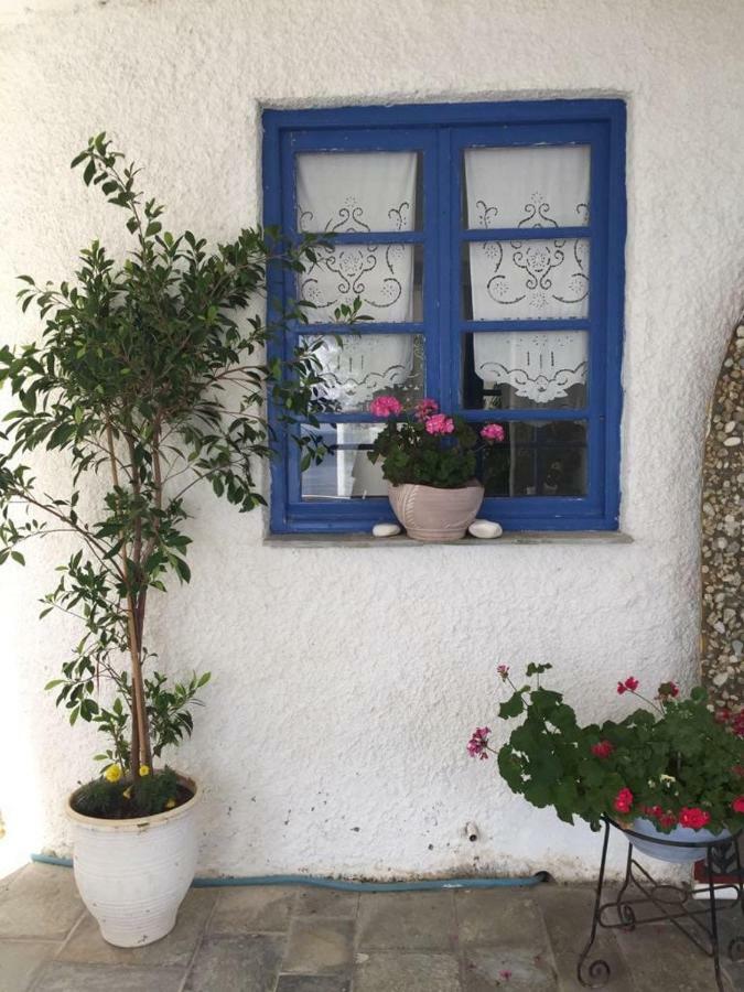 Villa Lula Nea Styra Extérieur photo